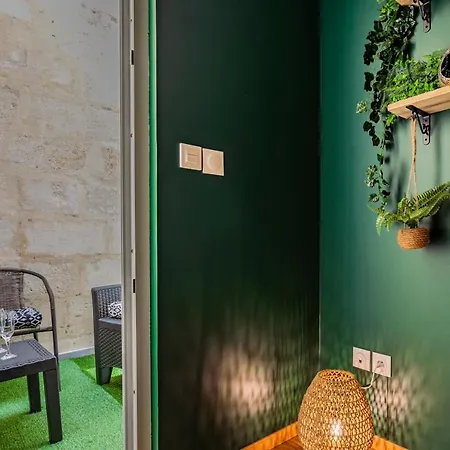 Jungle- Sauna - 4 Pers- Videoprojecteur - Terrasse Apartament Libourne